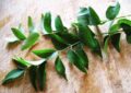 Get Beautiful hair with curry leaves