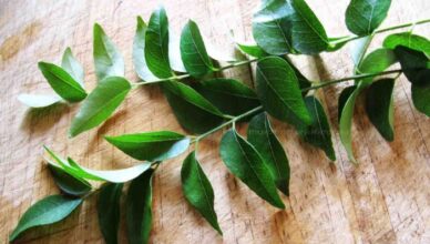 Get Beautiful hair with curry leaves