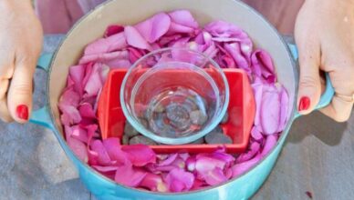 Rose Water and Its Advantages for Health