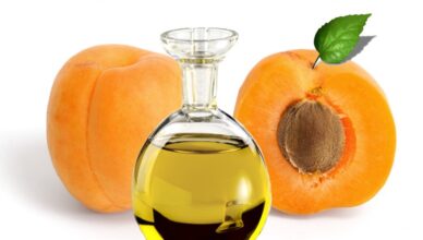 Top 3 Reasons why you should use Apricot Oil