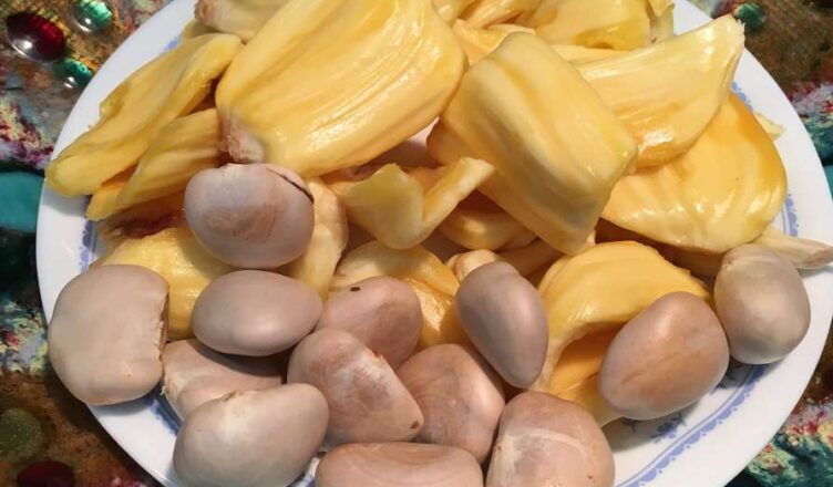 jackfruit seeds for hair growth