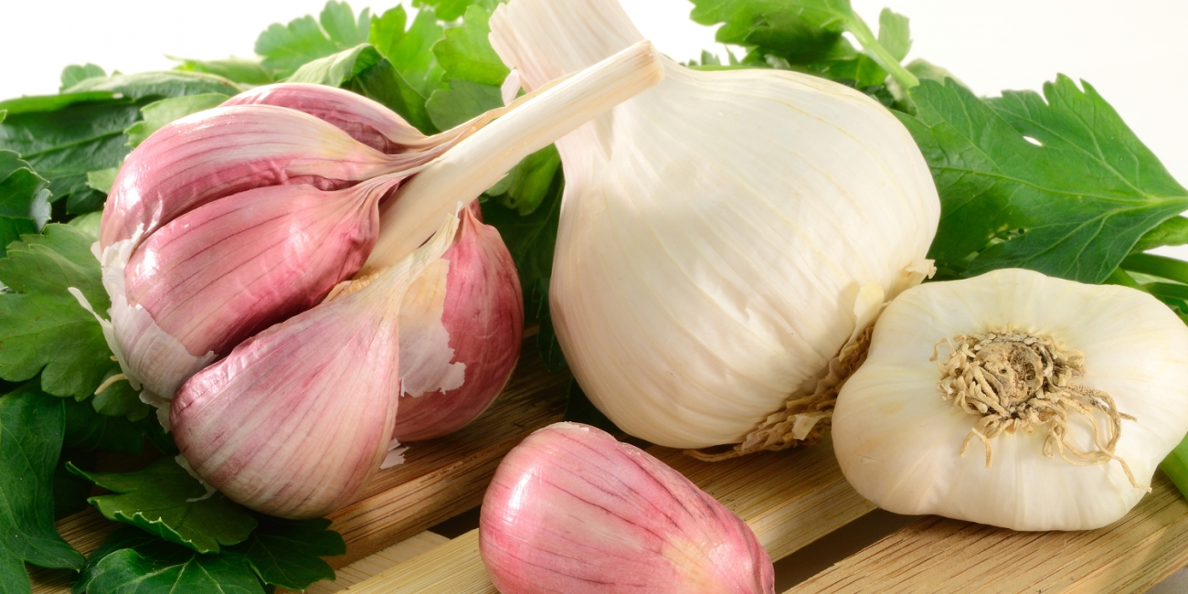 Garlic for Skin Fungus