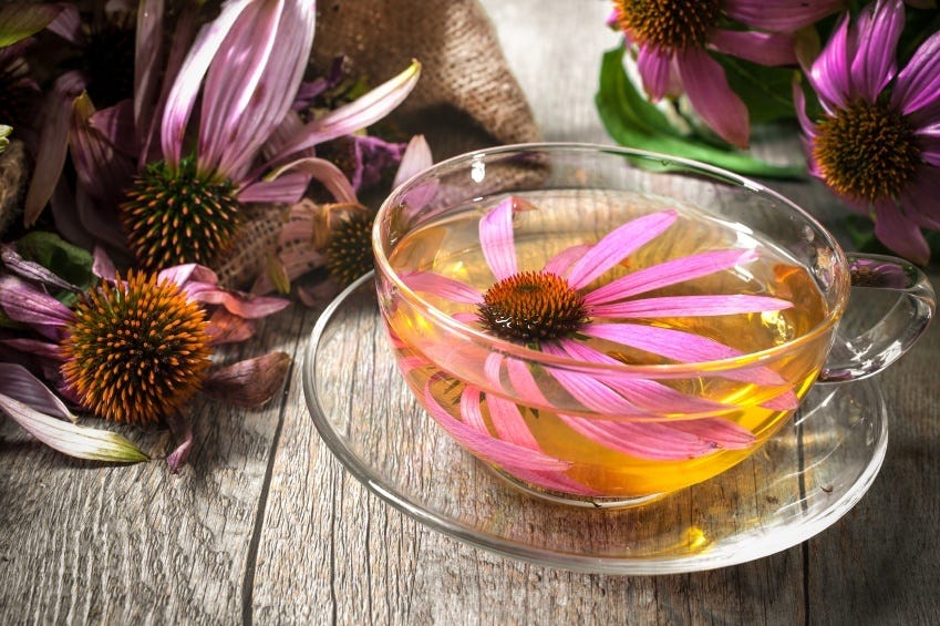 Best Natural Remedies for Acne - Echinacea Tea