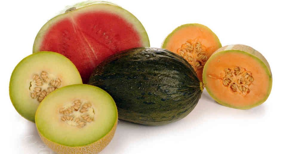 watermelon and muskmelon for weight loss