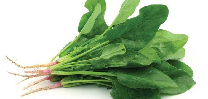 spinach for hair growth
