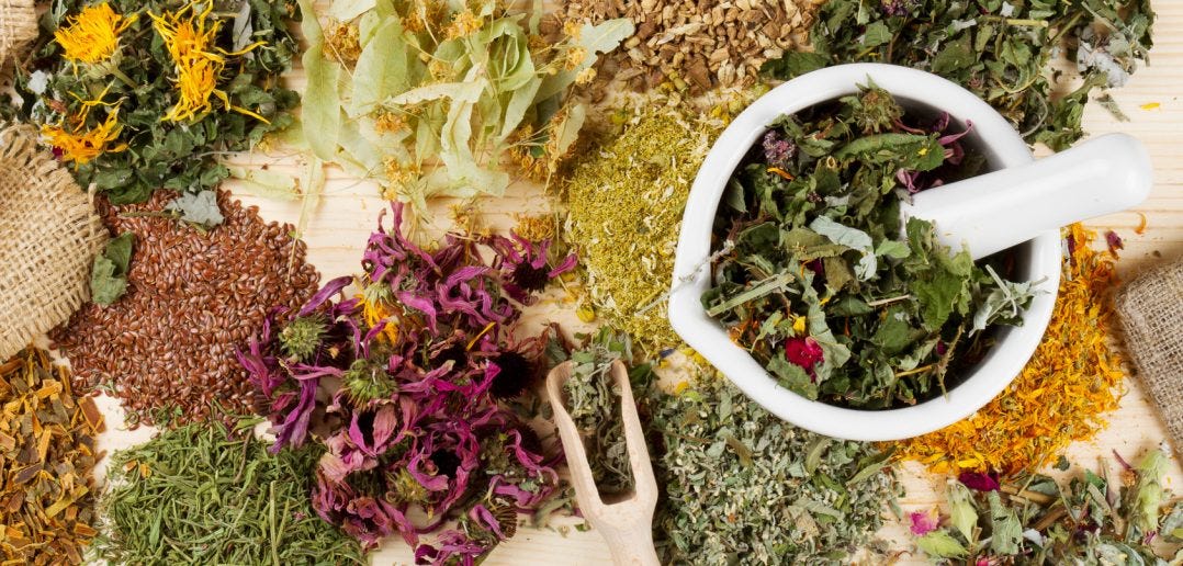 Herbal Medicines for Skin Care