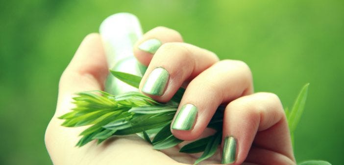 eco friendly makeup products