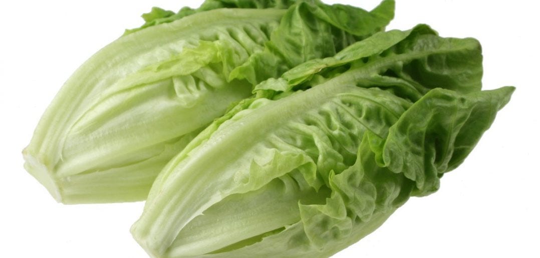 Lettuce for weight loss