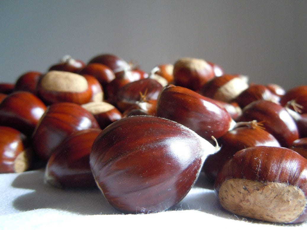 chestnuts for healthy heart - healthy nuts