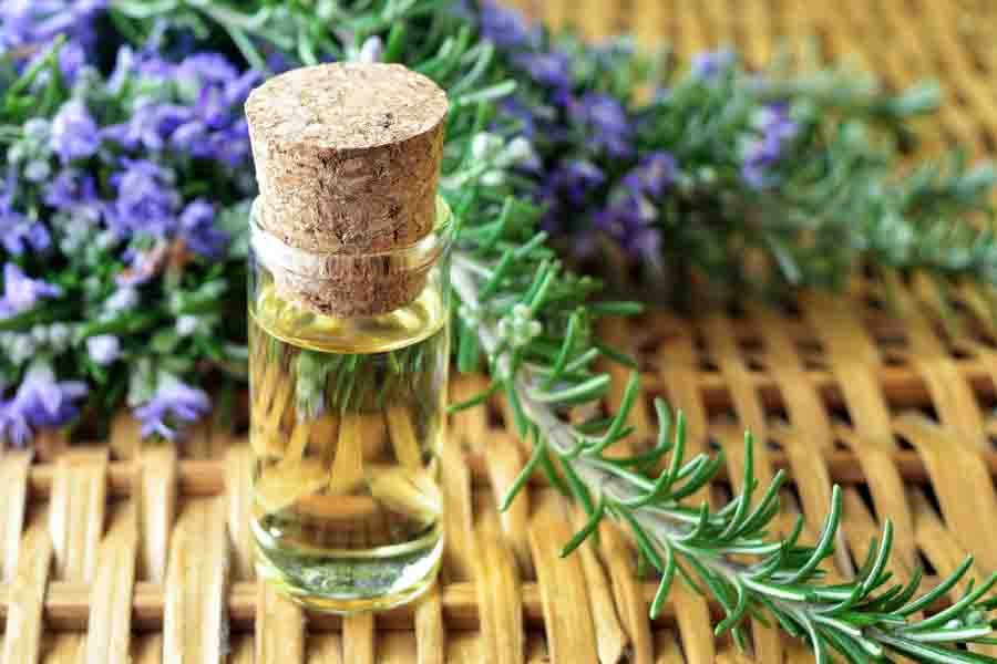 Essential Oils for Hair - Rosemary Oil