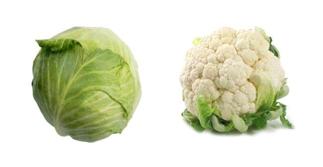 Cabbage and cauliflower
