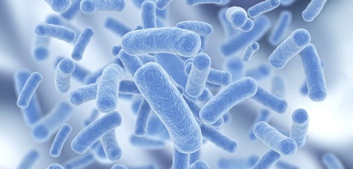 Probiotics - Natural Supplements