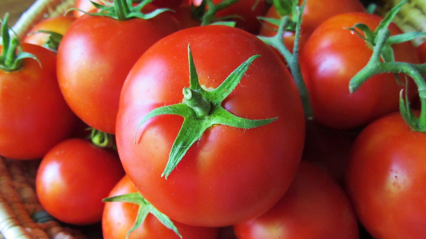 Fitness Foods - Tomatoes