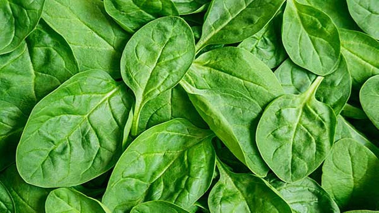 Healthy Foods to Reduce Stress - Spinach