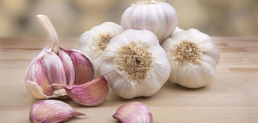 garlic for candida