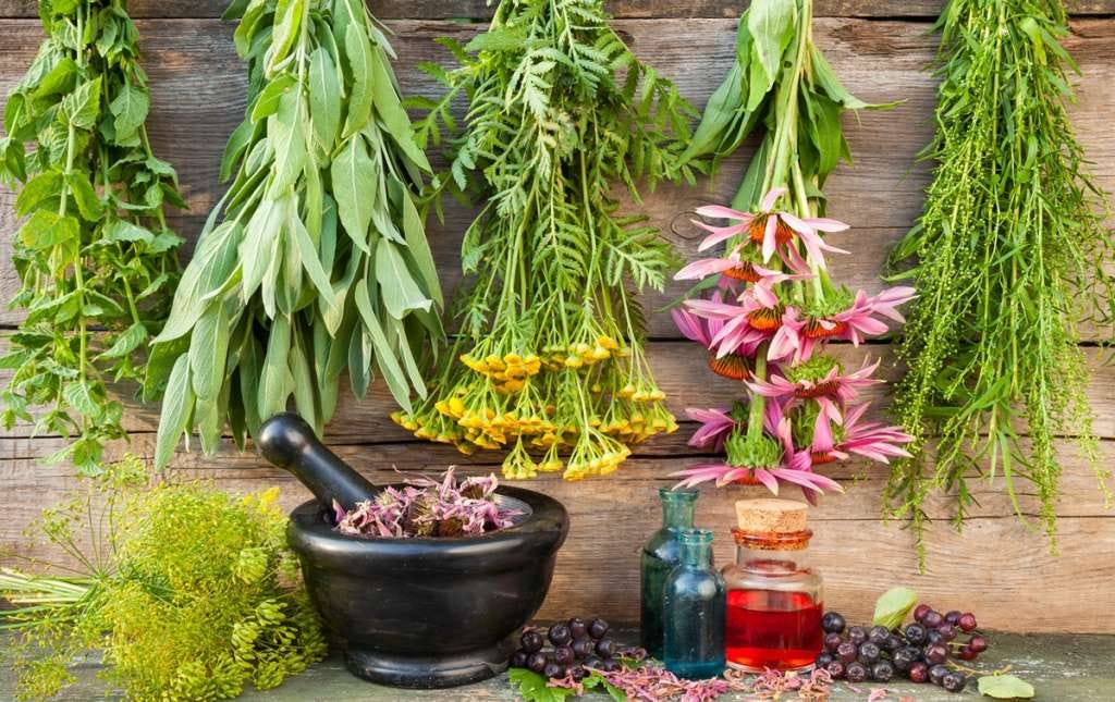 Herbs that Fight off Adrenal Burnout