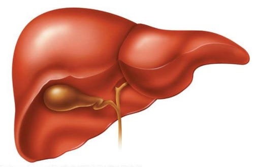 improve liver function and strengthen it naturally