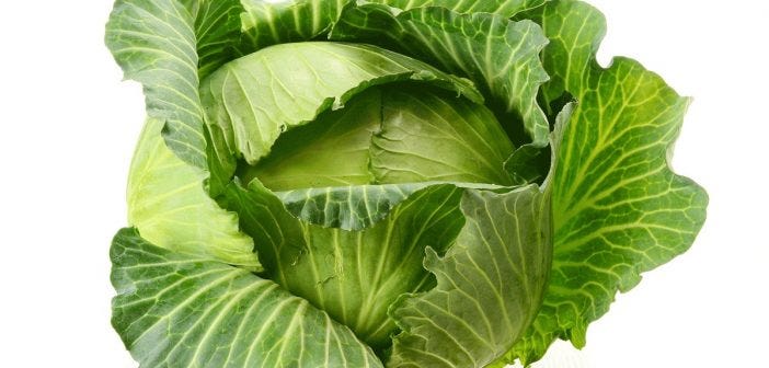 benefits of cabbage